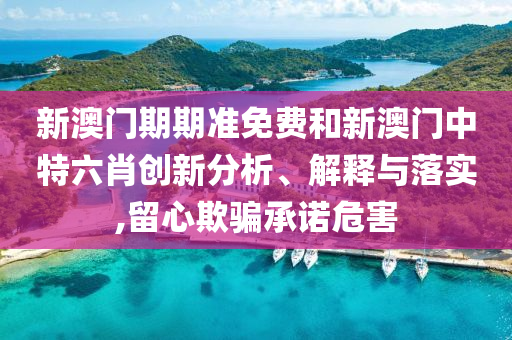 新澳门期期准免费和新澳门中特六肖创新分析、解释与落实,留心欺骗承诺危害